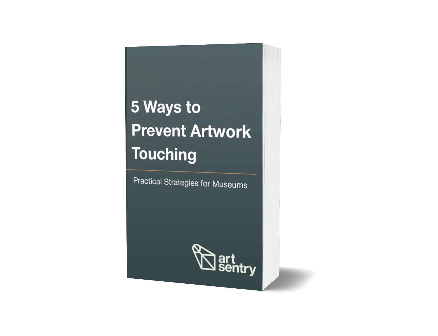 5 ways museums can sensitively limit touching